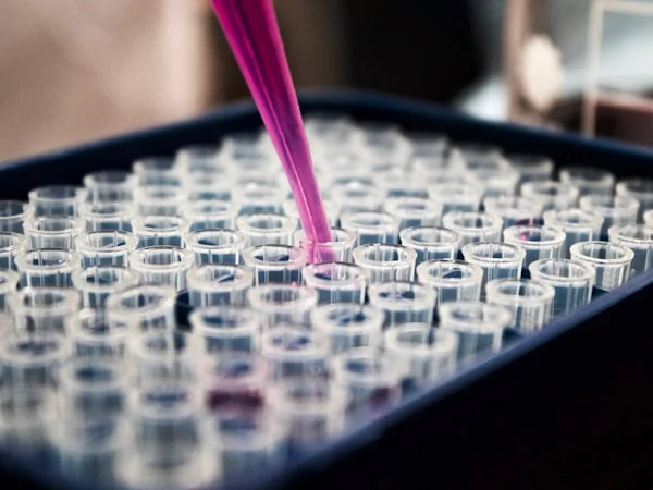 R&D Laboratory
